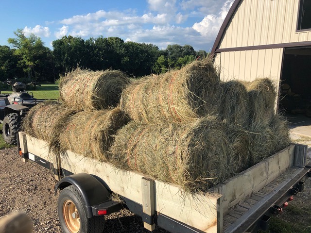 Mini round bales with twine wrap loaded on a trailer for transport. 