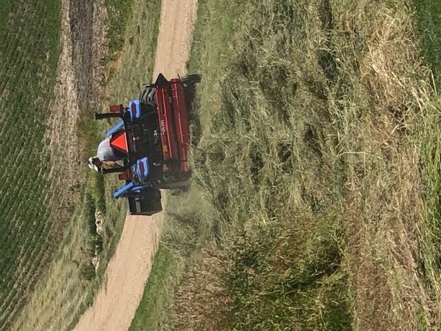 Raking hay with an Ibex Belt Rake. 