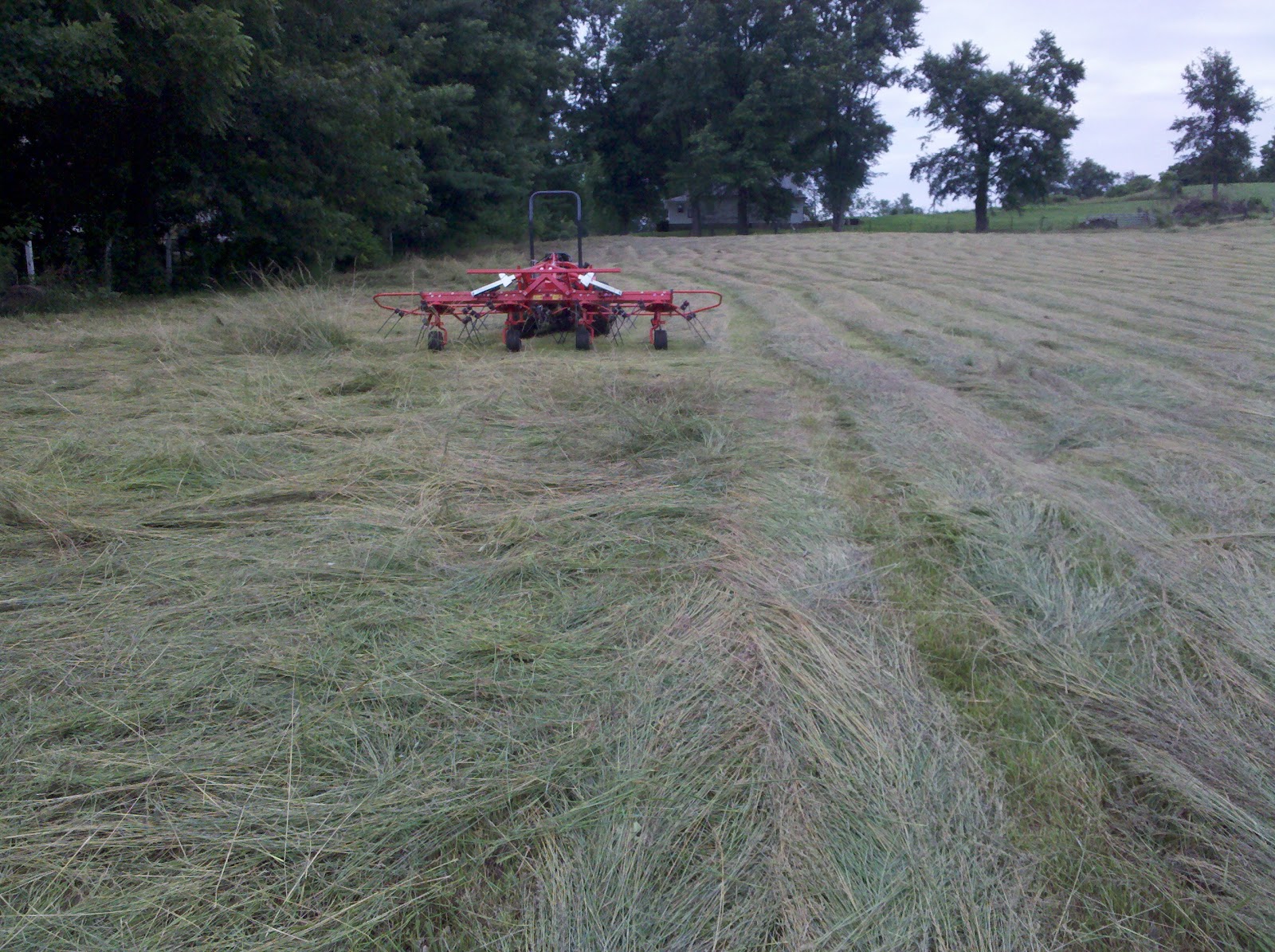 Hay tedder in a hay field.