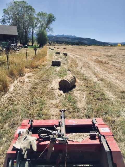 Mini round baler producing mini round bales with twine. Mini round baler producing mini round bales with twine.