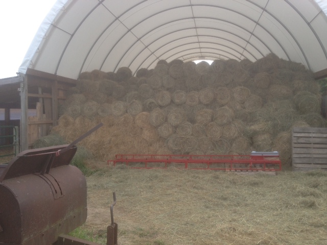 Mini round hay bales stored for the winter. 