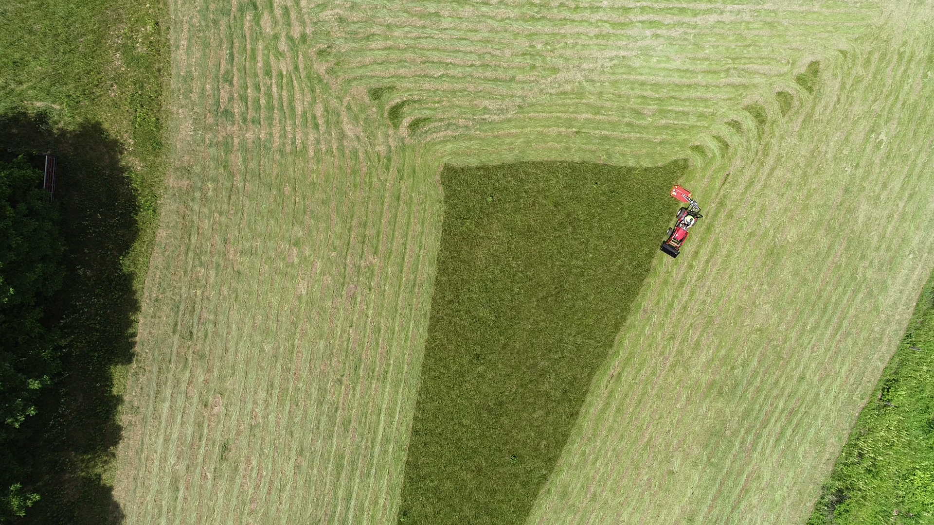 Aerial view of an Ibex TX45 Drum Mower cutting a hay field. 