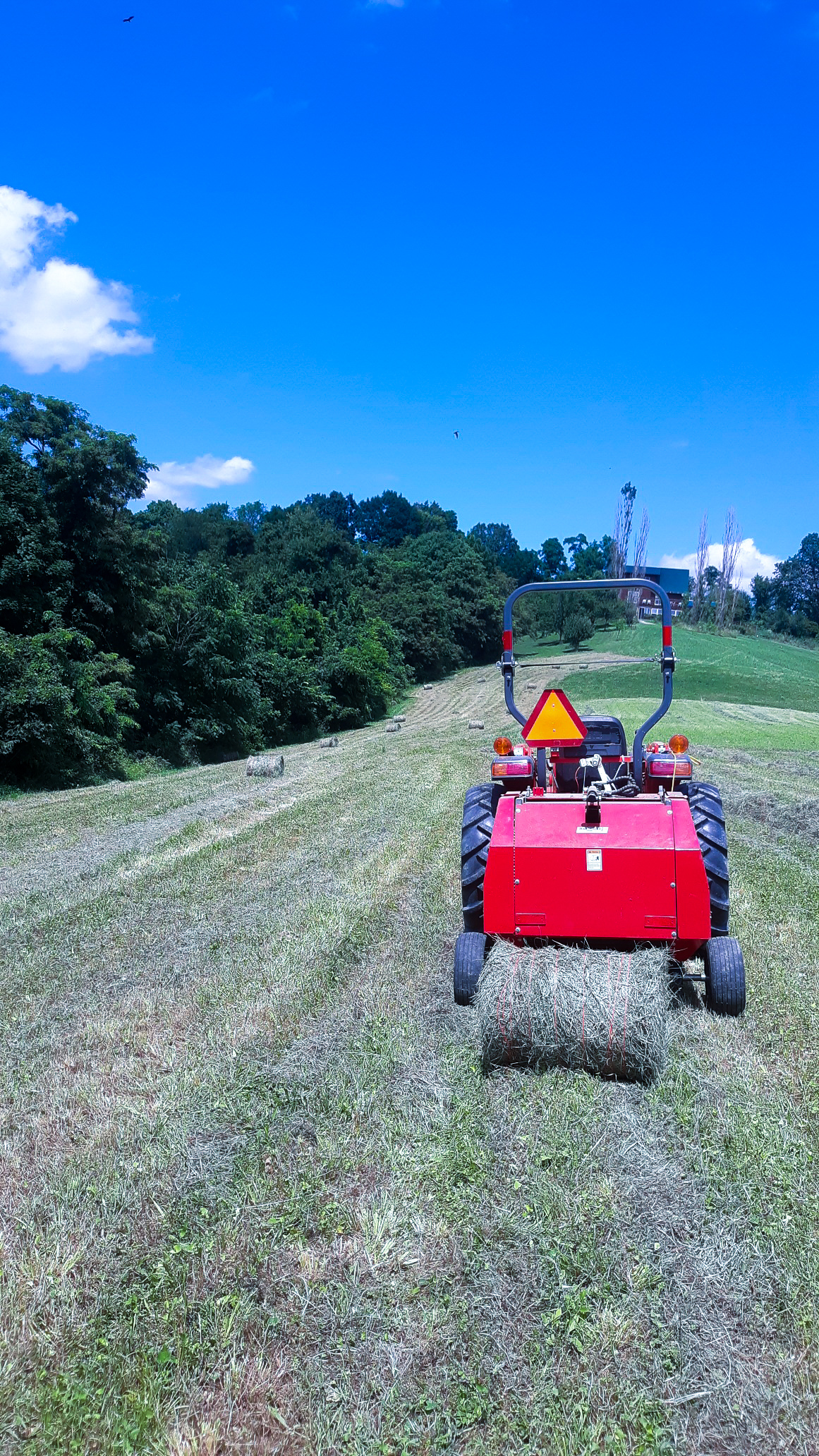 A farm tax ID can help you to obtain tax exemptions and deductions on equipment like the Ibex TX31 Mini Round Baler with Twine Wrap. 